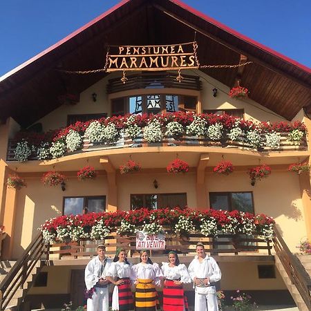 Pensiunea Maramures Ocna Şugatag Εξωτερικό φωτογραφία