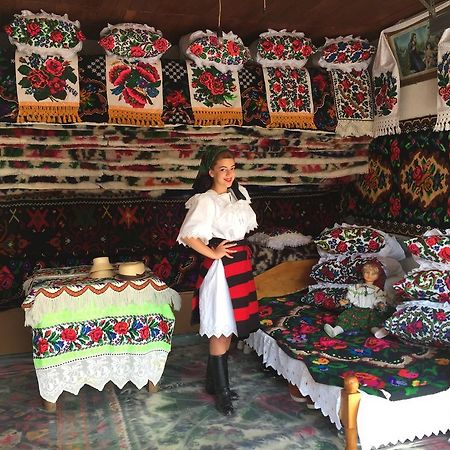 Pensiunea Maramures Ocna Şugatag Εξωτερικό φωτογραφία