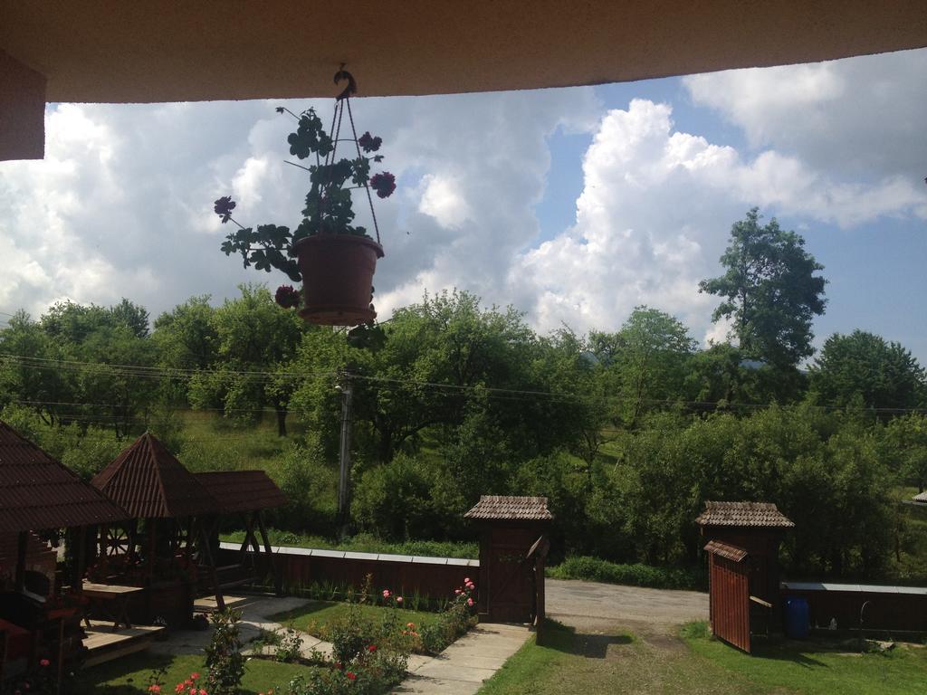 Pensiunea Maramures Ocna Şugatag Εξωτερικό φωτογραφία