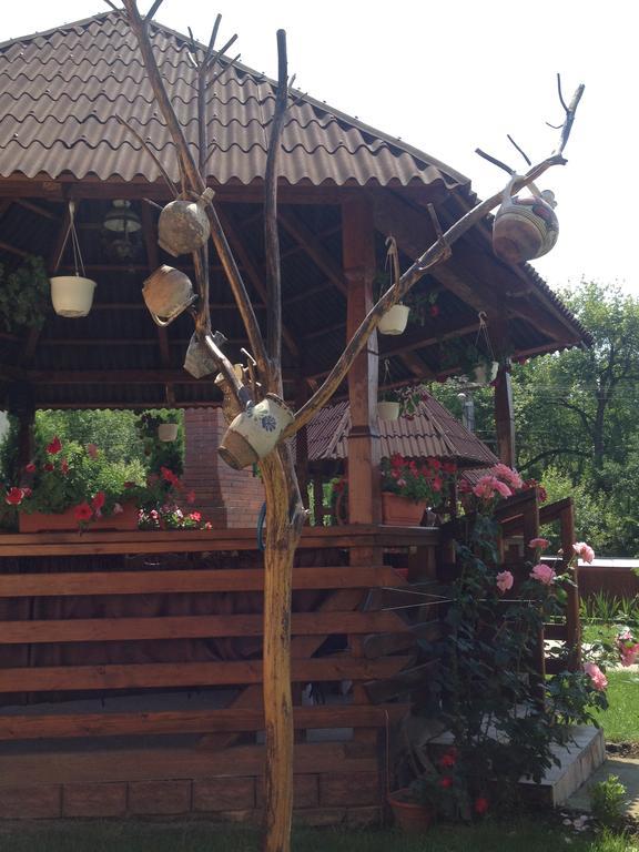 Pensiunea Maramures Ocna Şugatag Εξωτερικό φωτογραφία