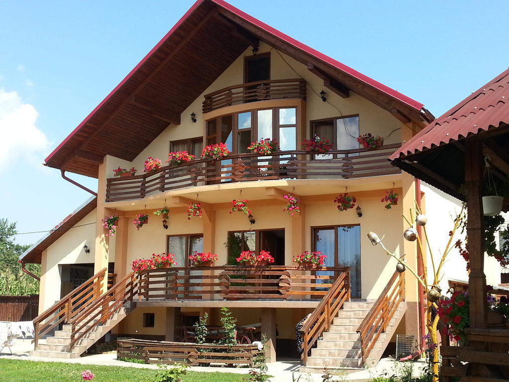 Pensiunea Maramures Ocna Şugatag Εξωτερικό φωτογραφία