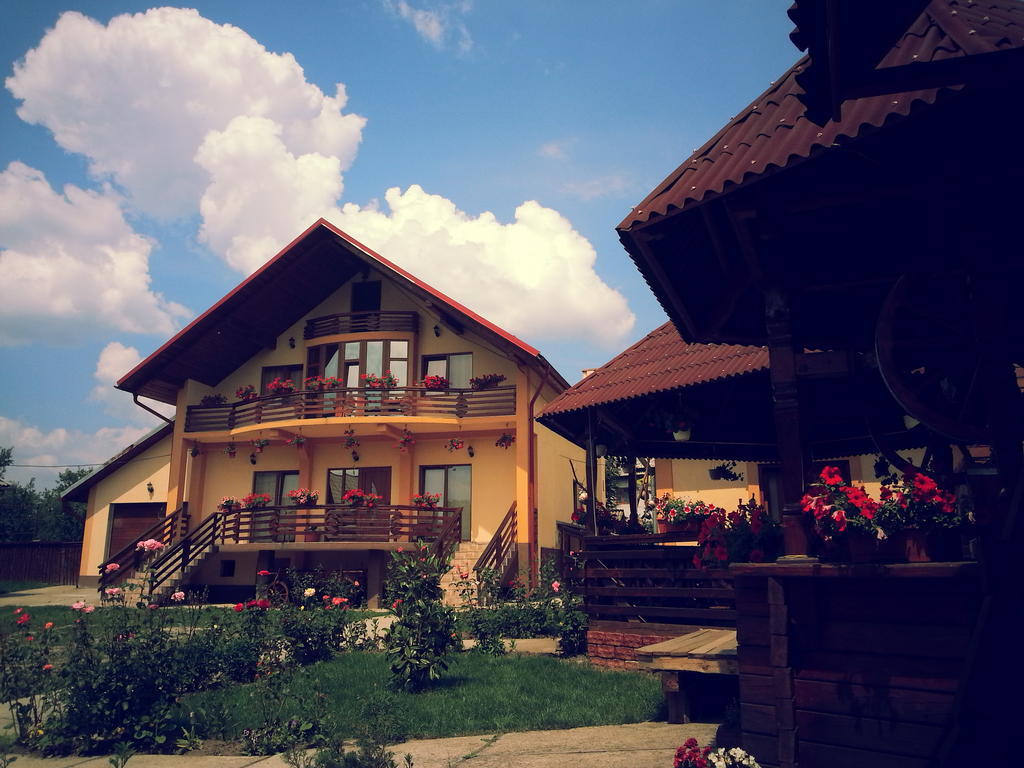 Pensiunea Maramures Ocna Şugatag Εξωτερικό φωτογραφία