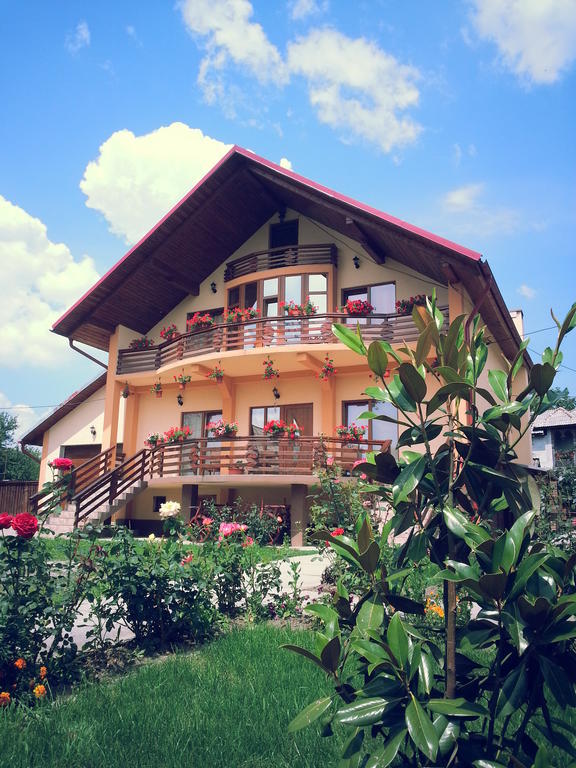 Pensiunea Maramures Ocna Şugatag Εξωτερικό φωτογραφία
