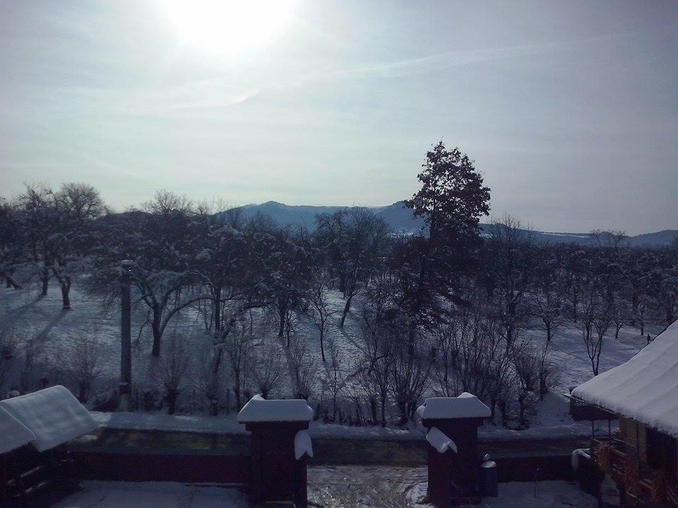 Pensiunea Maramures Ocna Şugatag Εξωτερικό φωτογραφία
