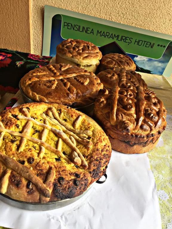 Pensiunea Maramures Ocna Şugatag Εξωτερικό φωτογραφία
