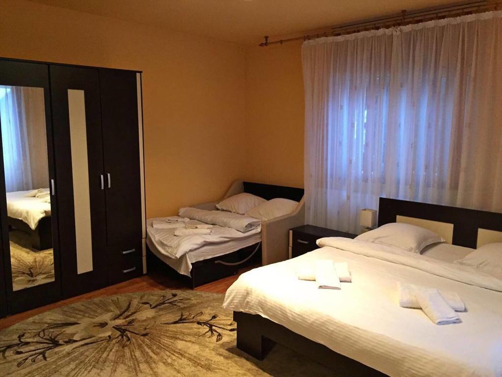 Pensiunea Maramures Ocna Şugatag Εξωτερικό φωτογραφία