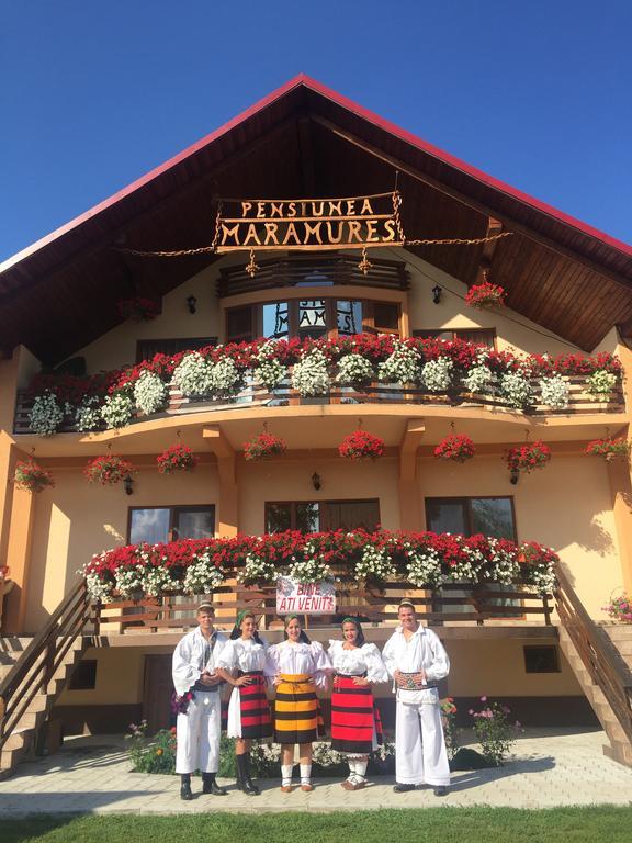 Pensiunea Maramures Ocna Şugatag Εξωτερικό φωτογραφία